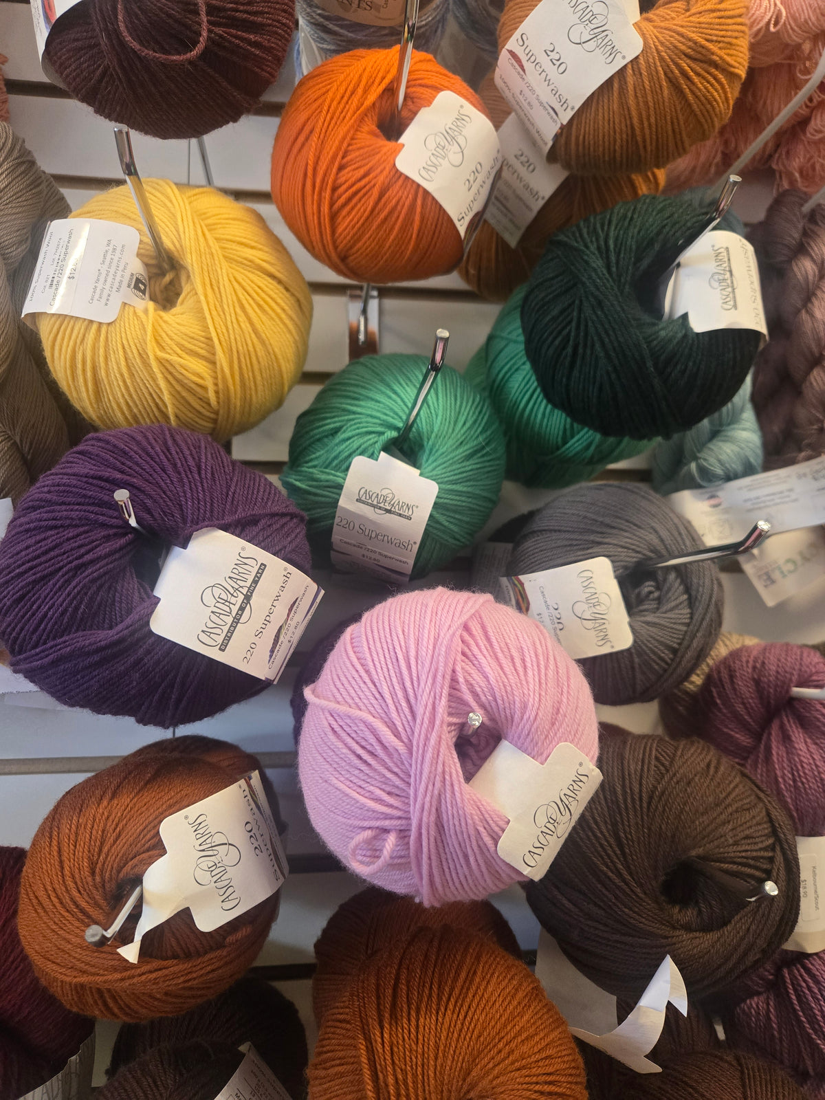 Cascade 220 Superwash
